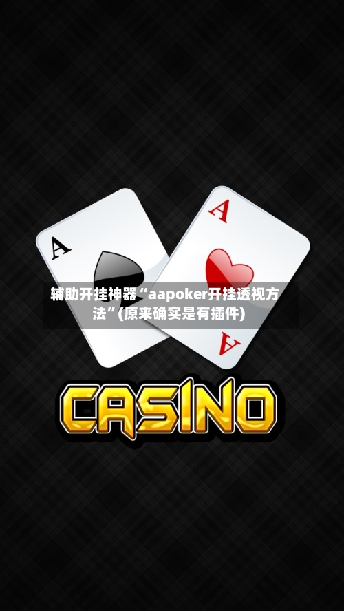 辅助开挂神器“aapoker开挂透视方法”(原来确实是有插件)-第2张图片