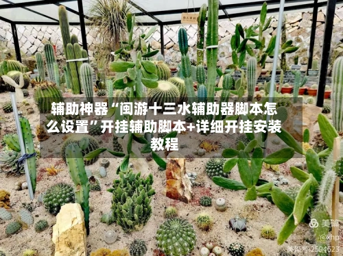 辅助神器“闽游十三水辅助器脚本怎么设置	”开挂辅助脚本+详细开挂安装教程-第3张图片