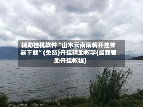 辅助挂机软件“山水云南麻将开挂神器下载”(免费)开挂辅助教学(最新辅助开挂教程)-第3张图片