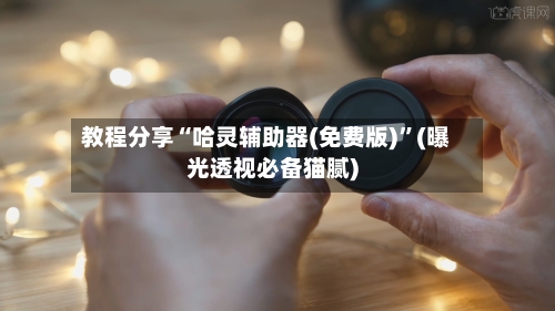 教程分享“哈灵辅助器(免费版)”(曝光透视必备猫腻)-第2张图片