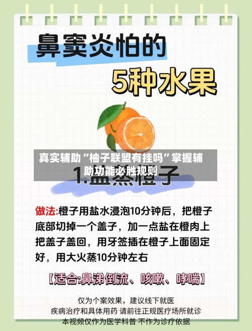 真实辅助“柚子联盟有挂吗”掌握辅助功能必胜规则-第3张图片