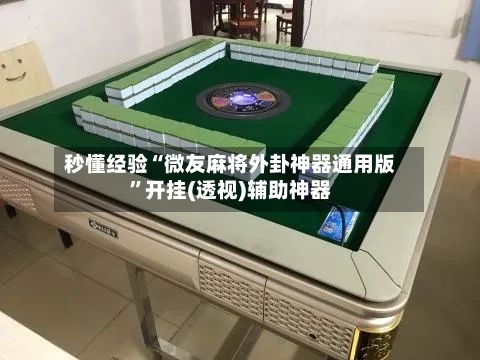 秒懂经验“微友麻将外卦神器通用版”开挂(透视)辅助神器-第3张图片