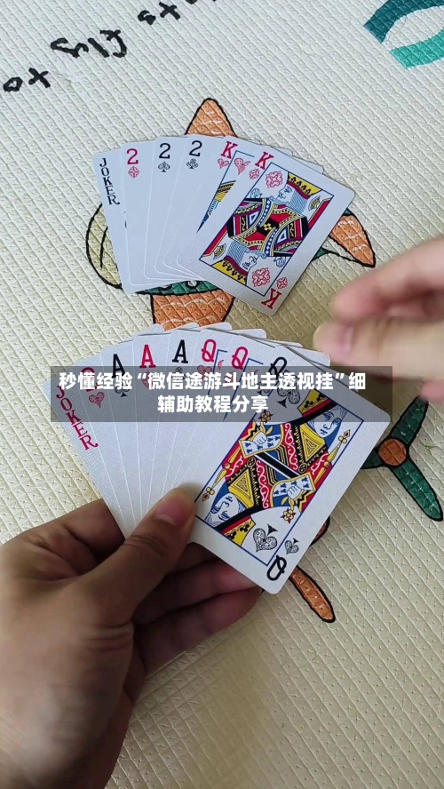 秒懂经验“微信途游斗地主透视挂”细辅助教程分享-第3张图片