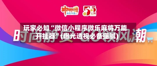 玩家必知“微信小程序微乐麻将万能开挂器	”(曝光透视必备猫腻)-第2张图片