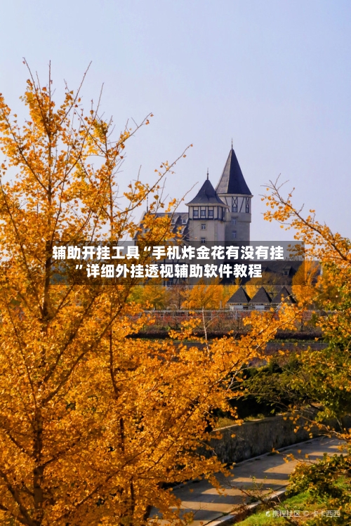 辅助开挂工具“手机炸金花有没有挂”详细外挂透视辅助软件教程-第3张图片