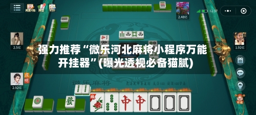 强力推荐“微乐河北麻将小程序万能开挂器”(曝光透视必备猫腻)-第2张图片