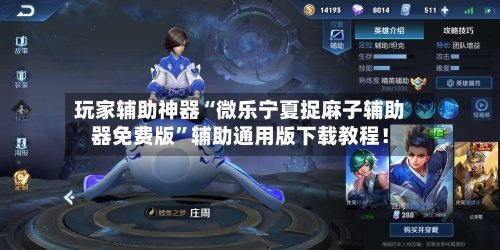 玩家辅助神器“微乐宁夏捉麻子辅助器免费版”辅助通用版下载教程！-第2张图片