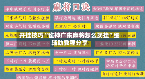开挂技巧“雀神广东麻将怎么买挂	”细辅助教程分享-第2张图片