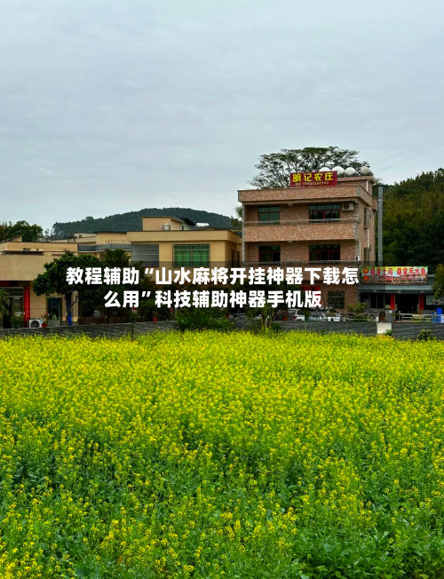 教程辅助“山水麻将开挂神器下载怎么用	”科技辅助神器手机版-第2张图片