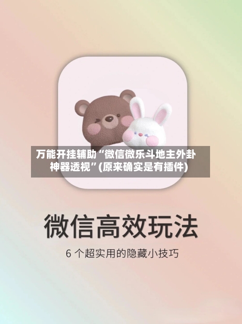 万能开挂辅助“微信微乐斗地主外卦神器透视”(原来确实是有插件)-第2张图片