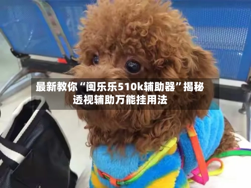 最新教你“闽乐乐510k辅助器”揭秘透视辅助万能挂用法-第2张图片