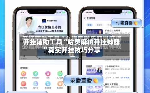 开挂辅助工具“哈灵麻将开挂神器”真实开挂技巧分享-第2张图片