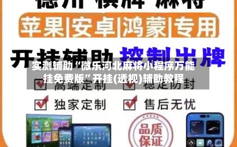 实测辅助“微乐河北麻将小程序万能挂免费版”开挂(透视)辅助教程-第2张图片