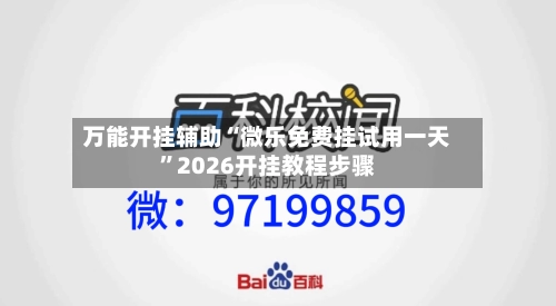 万能开挂辅助“微乐免费挂试用一天”2026开挂教程步骤-第3张图片