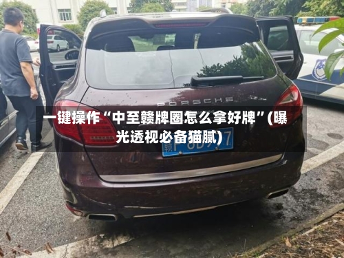 一键操作“中至赣牌圈怎么拿好牌”(曝光透视必备猫腻)-第2张图片