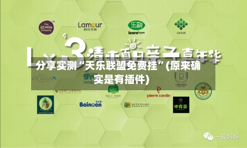 分享实测“天乐联盟免费挂”(原来确实是有插件)-第3张图片