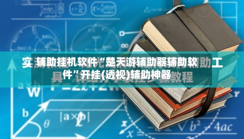 辅助挂机软件“楚天游辅助器辅助软件	”开挂(透视)辅助神器-第2张图片