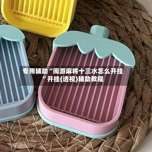 专用辅助“闽游麻将十三水怎么开挂	”开挂(透视)辅助教程-第2张图片