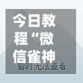 今日教程“微信雀神广东麻将开挂神器”科技辅助神器手机版教程-第2张图片