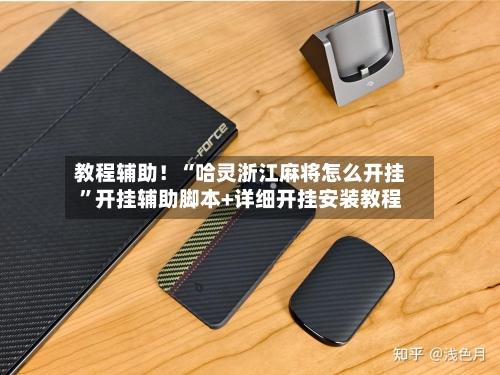 教程辅助！“哈灵浙江麻将怎么开挂”开挂辅助脚本+详细开挂安装教程-第2张图片