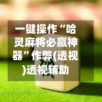一键操作“哈灵麻将必赢神器	”作弊(透视)透视辅助-第2张图片