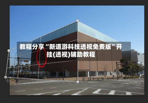 教程分享“新道游科技透视免费版”开挂(透视)辅助教程-第3张图片