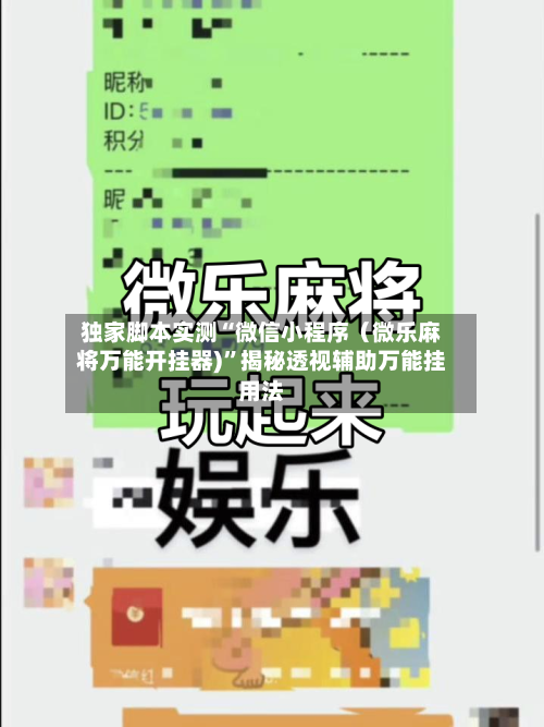 独家脚本实测“微信小程序（微乐麻将万能开挂器)”揭秘透视辅助万能挂用法-第2张图片