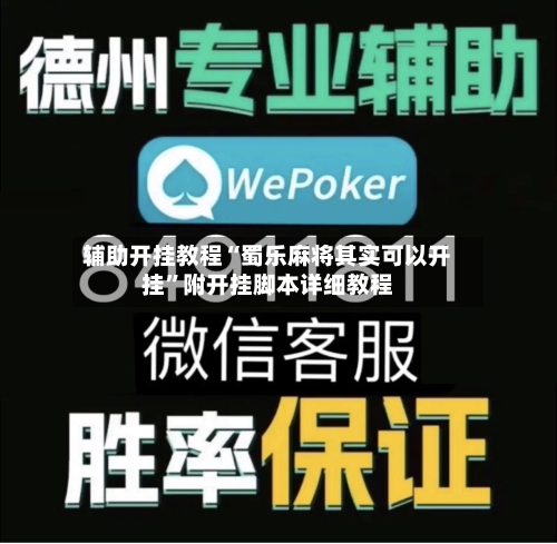辅助开挂教程“蜀乐麻将其实可以开挂”附开挂脚本详细教程-第2张图片