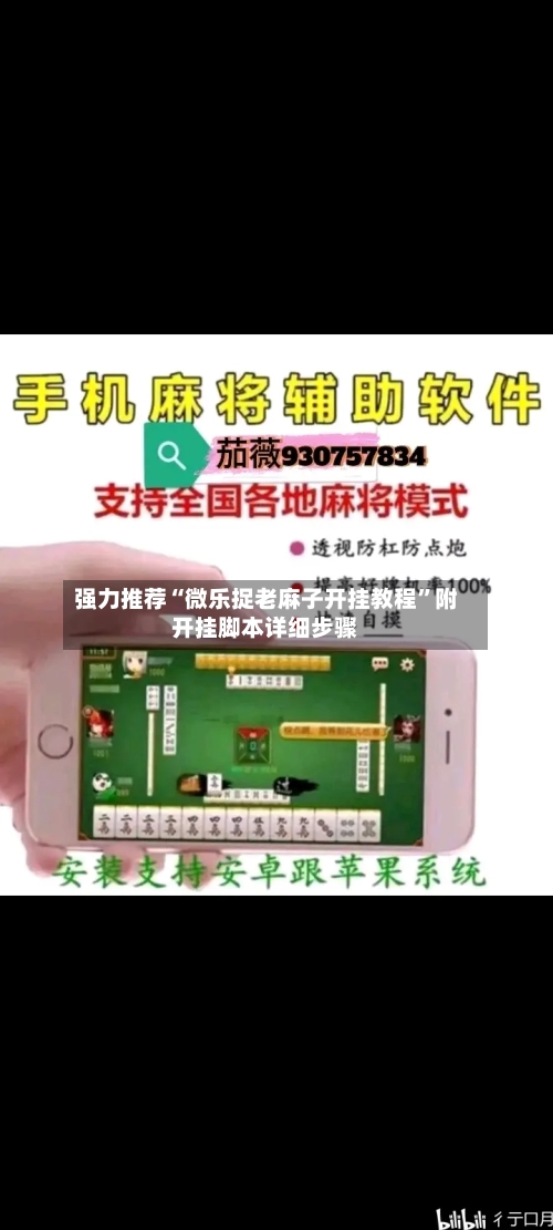 强力推荐“微乐捉老麻子开挂教程”附开挂脚本详细步骤-第3张图片