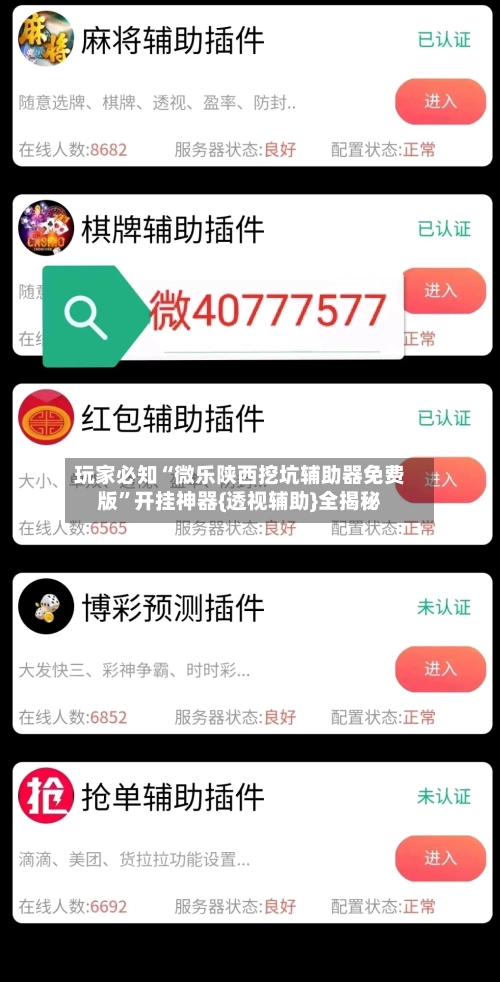 玩家必知“微乐陕西挖坑辅助器免费版”开挂神器{透视辅助}全揭秘-第3张图片