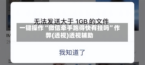 一键操作“微信牵手跑得快有挂吗”作弊(透视)透视辅助-第2张图片