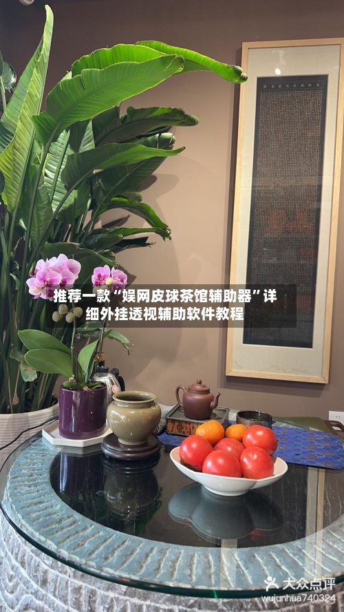 推荐一款“娱网皮球茶馆辅助器”详细外挂透视辅助软件教程-第3张图片