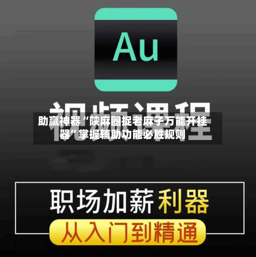 助赢神器“陕麻圈捉老麻子万能开挂器”掌握辅助功能必胜规则-第2张图片