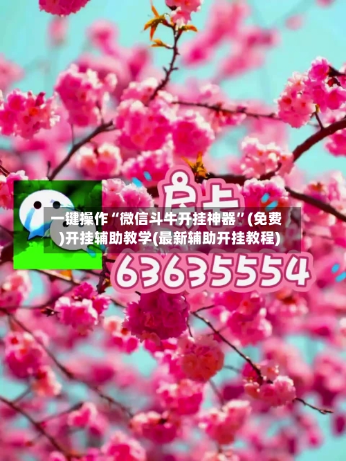 一键操作“微信斗牛开挂神器”(免费)开挂辅助教学(最新辅助开挂教程)-第3张图片