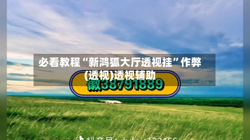 必看教程“新鸿狐大厅透视挂	”作弊(透视)透视辅助-第2张图片