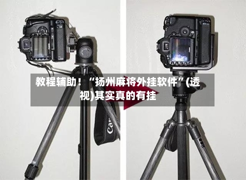 教程辅助！“扬州麻将外挂软件”(透视)其实真的有挂-第2张图片