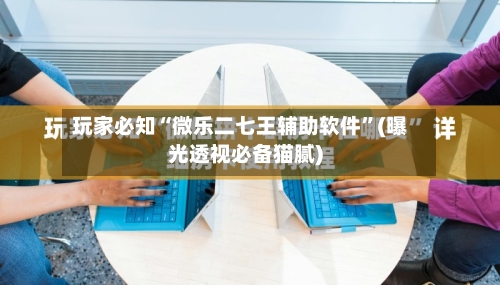 玩家必知“微乐二七王辅助软件	”(曝光透视必备猫腻)-第2张图片