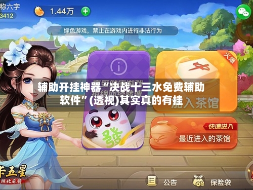 辅助开挂神器“决战十三水免费辅助软件”(透视)其实真的有挂-第2张图片