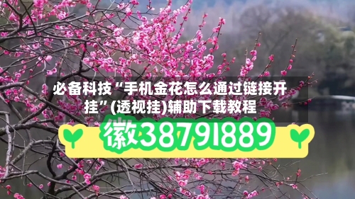必备科技“手机金花怎么通过链接开挂”(透视挂)辅助下载教程-第2张图片