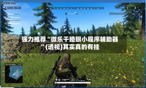 强力推荐“微乐干瞪眼小程序辅助器”(透视)其实真的有挂-第2张图片