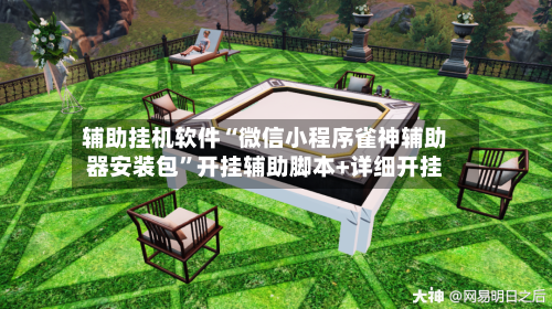 辅助挂机软件“微信小程序雀神辅助器安装包”开挂辅助脚本+详细开挂-第2张图片