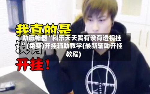 助赢神器“科乐天天踢有没有透视挂	”(免费)开挂辅助教学(最新辅助开挂教程)-第2张图片