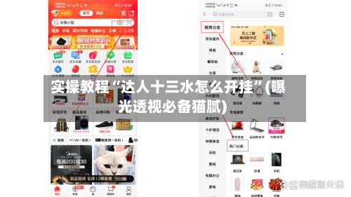 实操教程“达人十三水怎么开挂	”(曝光透视必备猫腻)-第2张图片