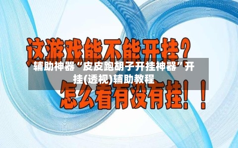 辅助神器“皮皮跑胡子开挂神器”开挂(透视)辅助教程