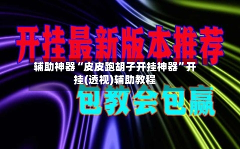 辅助神器“皮皮跑胡子开挂神器	”开挂(透视)辅助教程-第2张图片