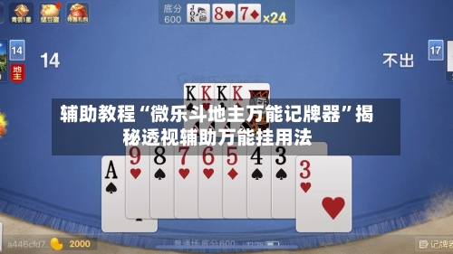辅助教程“微乐斗地主万能记牌器”揭秘透视辅助万能挂用法-第2张图片