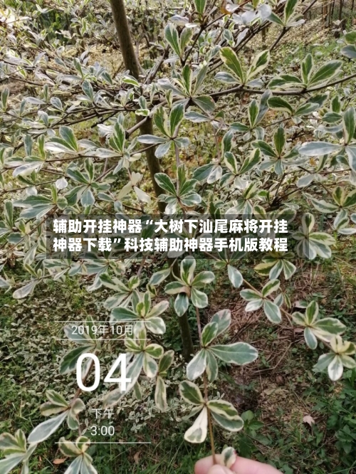 辅助开挂神器“大树下汕尾麻将开挂神器下载”科技辅助神器手机版教程-第2张图片