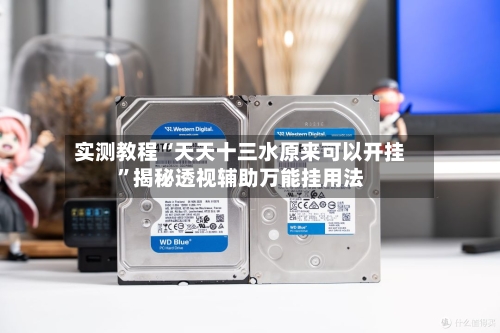 实测教程“天天十三水原来可以开挂”揭秘透视辅助万能挂用法-第3张图片