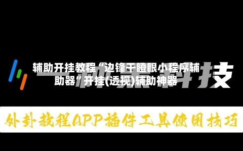 辅助开挂教程“边锋干瞪眼小程序辅助器”开挂(透视)辅助神器-第2张图片