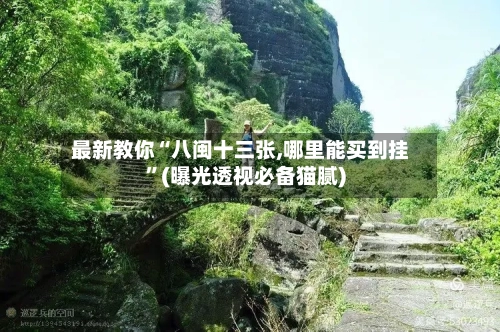 最新教你“八闽十三张,哪里能买到挂	”(曝光透视必备猫腻)-第2张图片